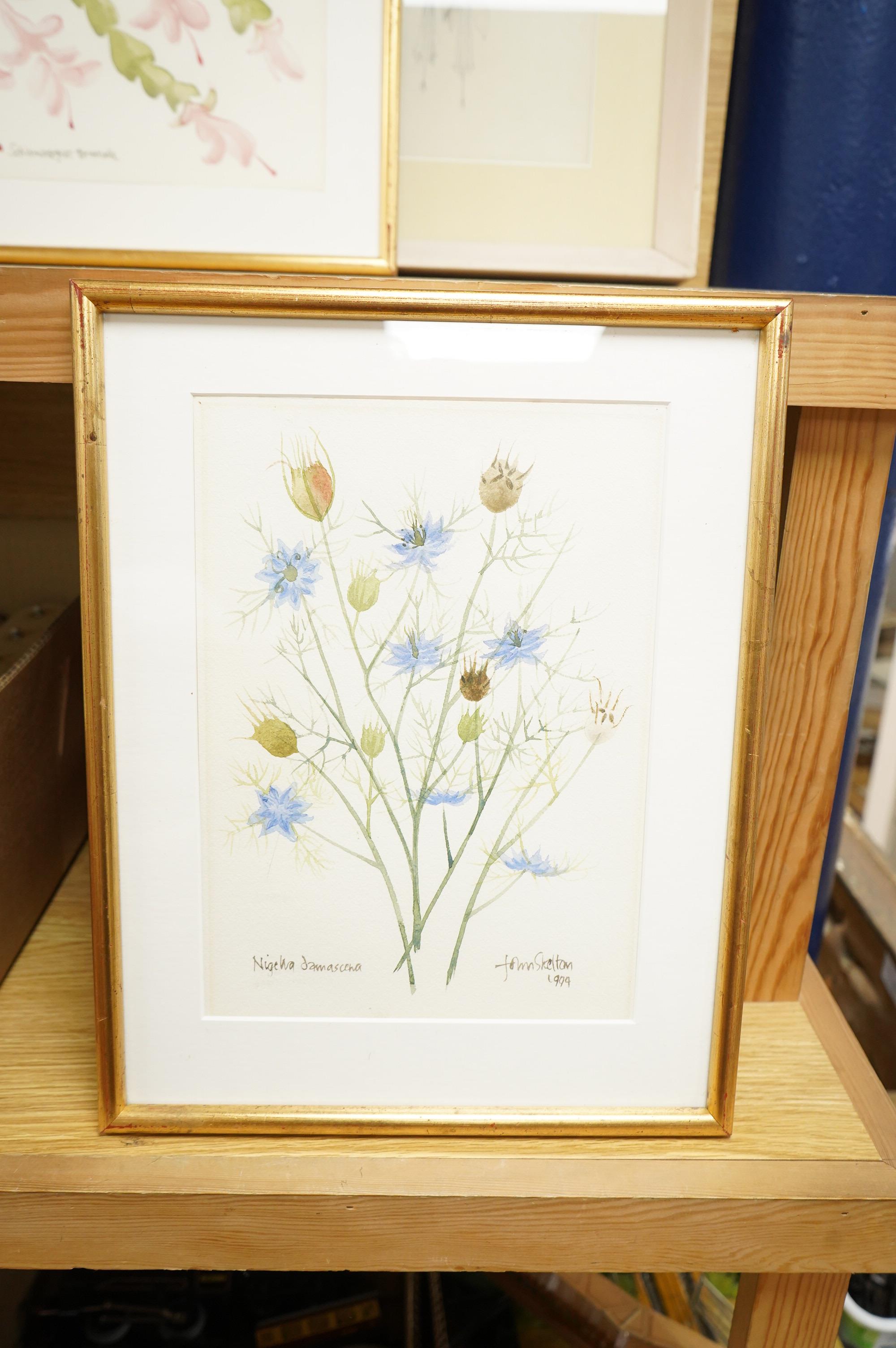 John Skelton (1925-2009), Botanical studies, each signed and dated, three watercolours and a pencil study, largest 30 x 22cm, Provenance: from the artist's family